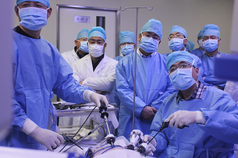 Phase III animal experiment of Watson and product review meeting of Watson endoscopic stapler